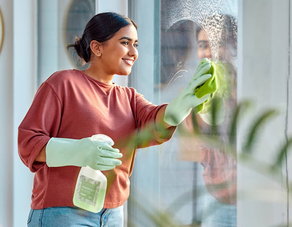 image_01 Window cleaning